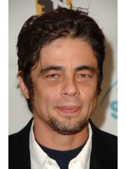 Benicio del Toro Profile Photo