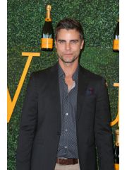 Colin Egglesfield Profile Photo